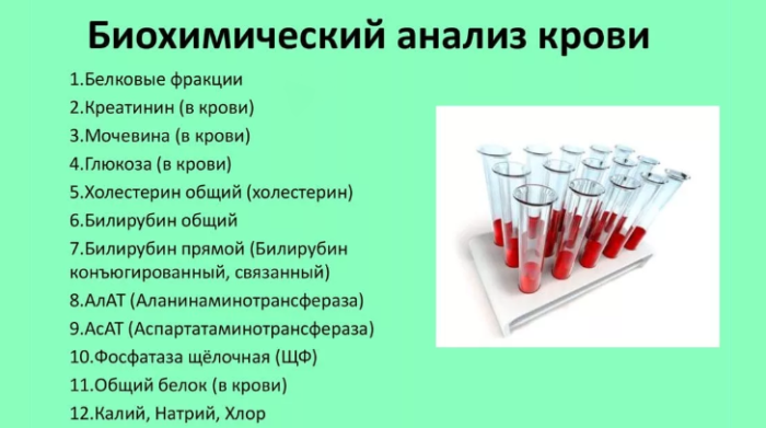 Биохимический, клинический анализ крови взрослого