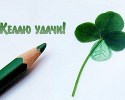 Рунический став на удачу и везение