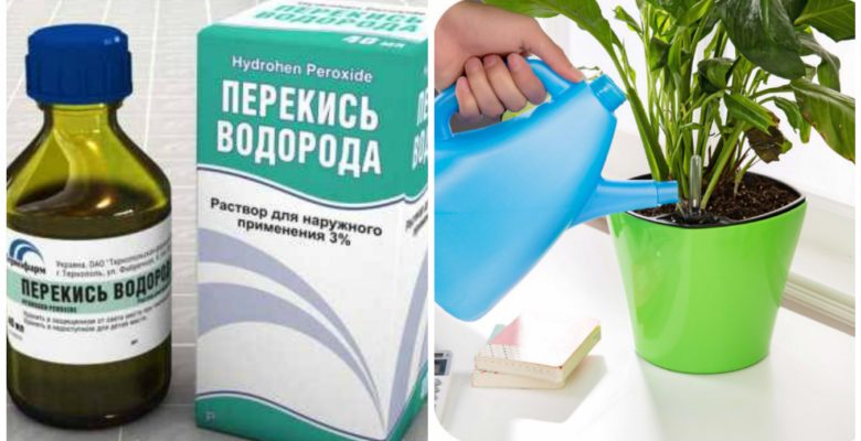 Часто используются садовниками