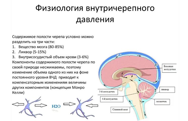 Внутричерепное давление — это давление в синусах мозговой оболочки