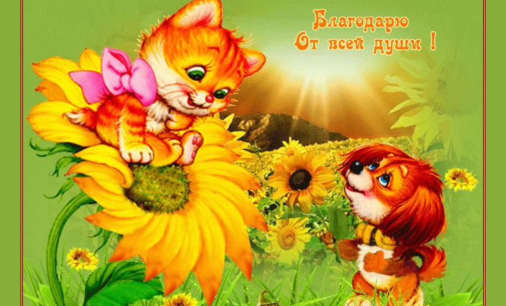 Картинка с благодарностью за внимание