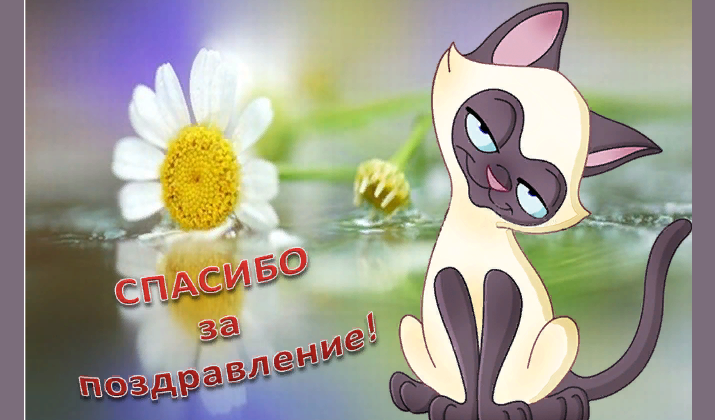 Картинка с благодарностью за поздравление
