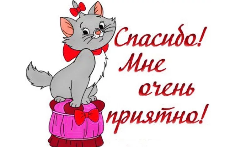 Картинка с благодарностью за цветы