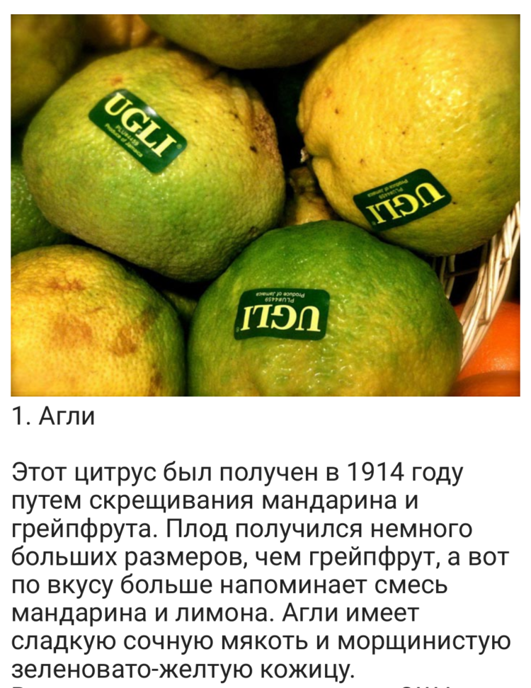 Смесь трех цитрусовых