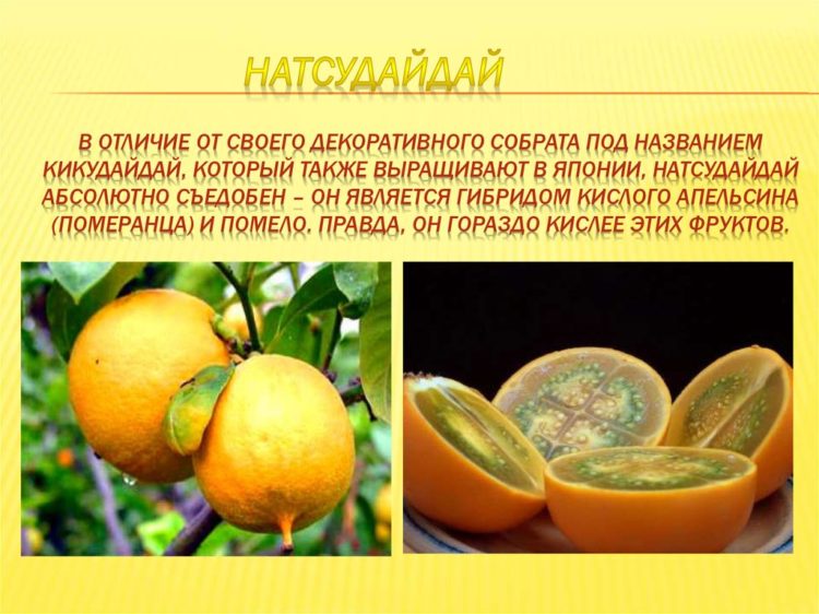 Интересное цветовое сочетание
