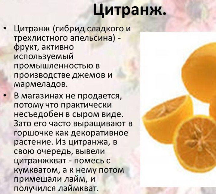 Цитранж