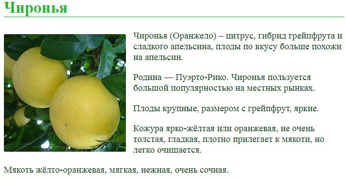 Крупный плод