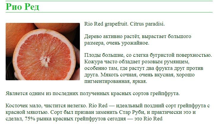 Один из последних созданных сортов