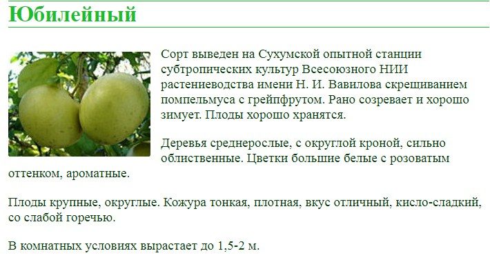 Сорт цитруса