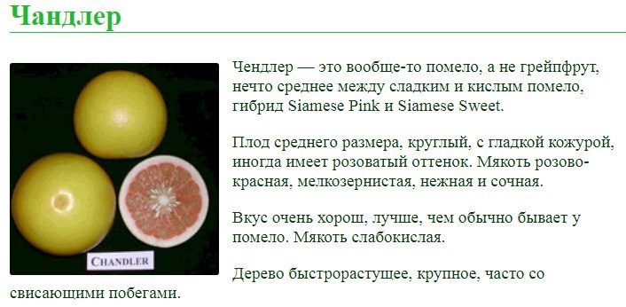 Чендлер