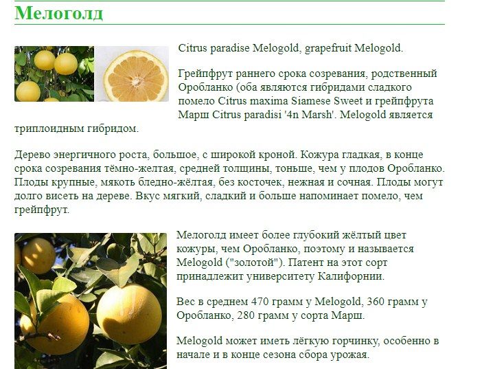 С сочным вкусом