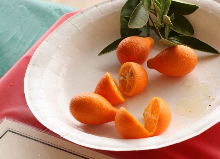 Фрукт в форме лампочки