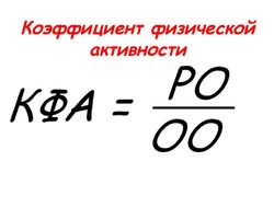Коэффициент физической активности: что это такое и как его рассчитать? Шаблоны и подсказки