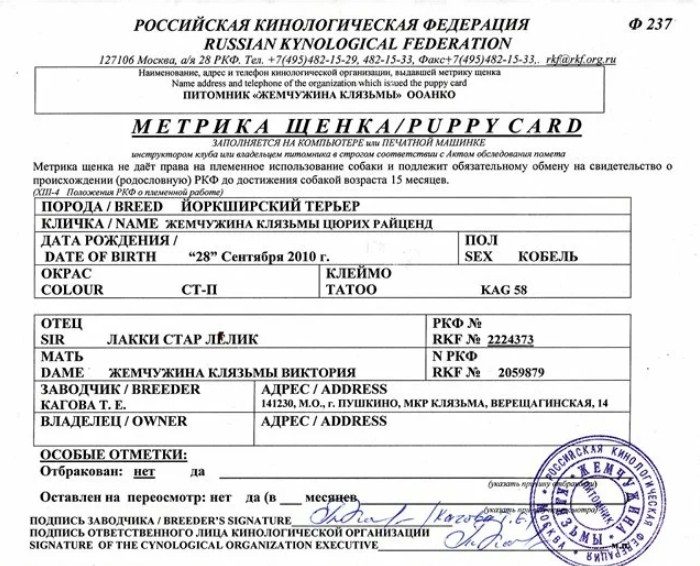 Выдается метрика