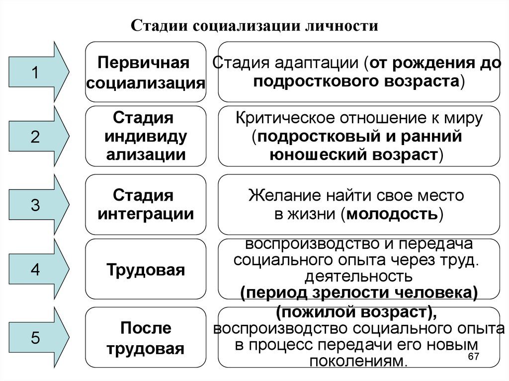 Стадии социализации