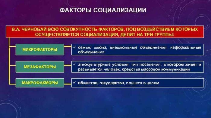 Факторы социализации
