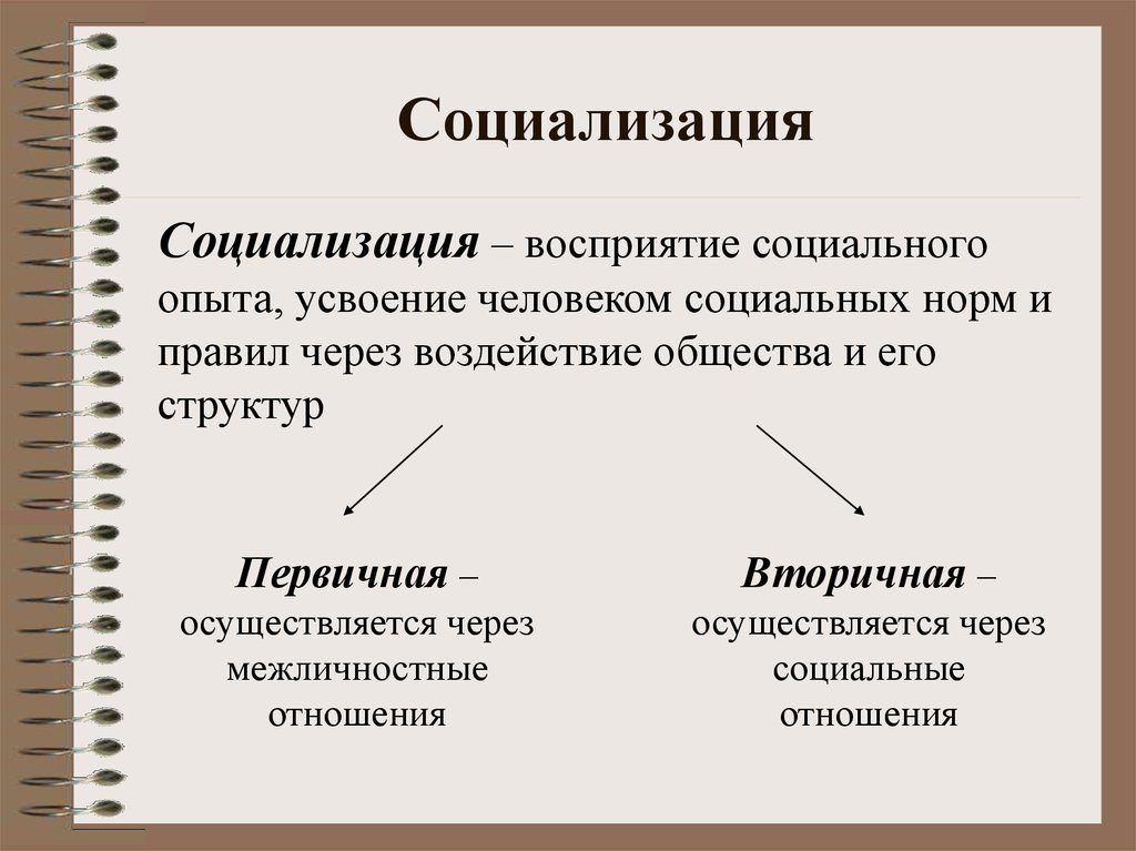 Социализация