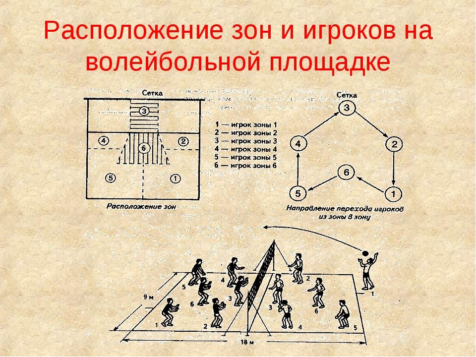 Схема расположения игроков волейболе