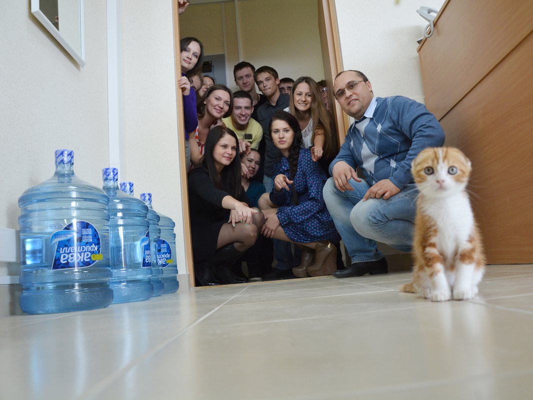 Котик