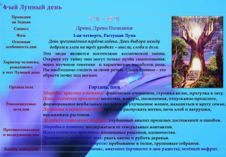 Проведите день с пользой