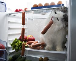 Наглость второе счастье, а какое счастье первое? Кто те люди, для которых наглость второе счастье?