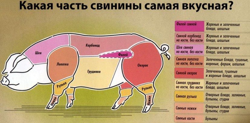 Вкусные части