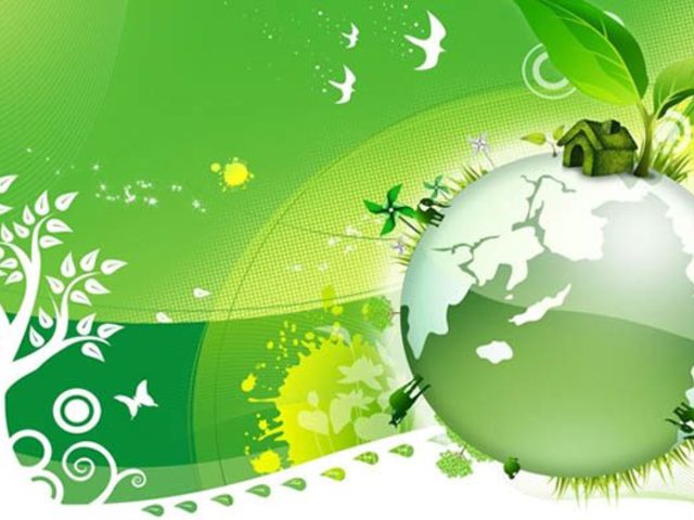 Загадки по биологии — интересные, сложные, с подвохом, про грибы, животных, растения, водоросли, про бактерии, клетки, вирусы: лучшая подборка для школьников