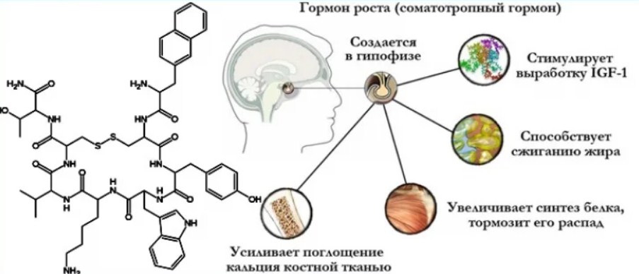 Действие