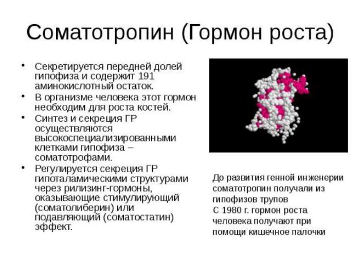 О гормоне