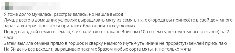 Отзыв 4