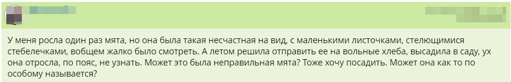 Отзыв 3