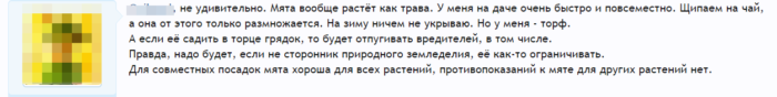 Отзыв 1