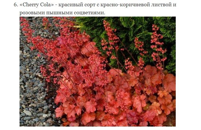 Приятные цвета
