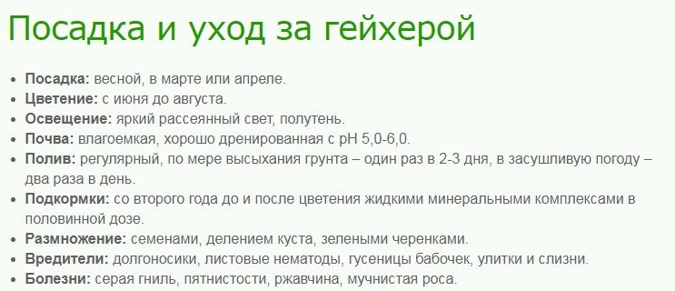 Основные качества