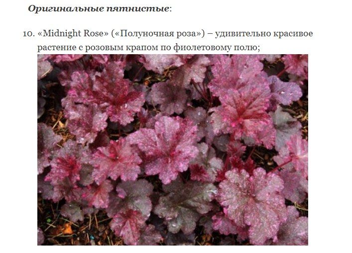 С яркими вкраплениями