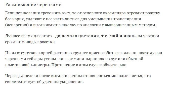 Размножение гейхеры черенками