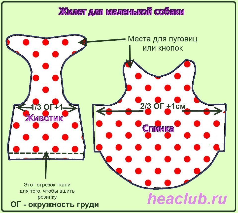 Жилет для маленькой собаки выкройка схема