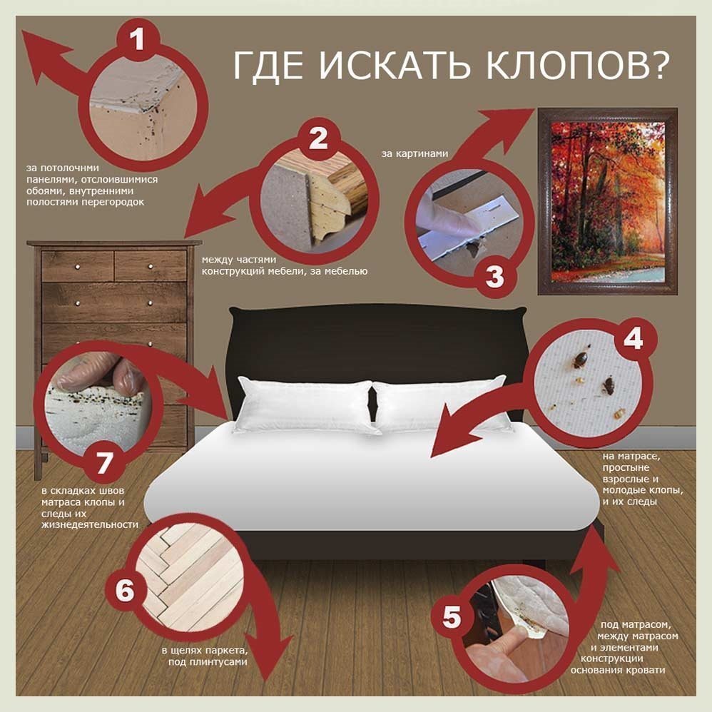 Места для поиска