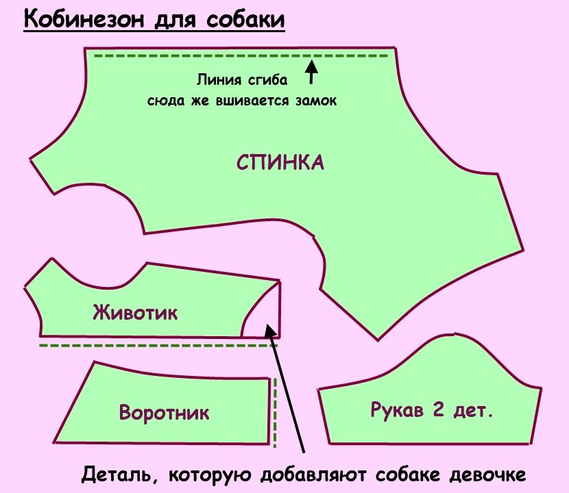 Выкройка комбинезона для собаки
