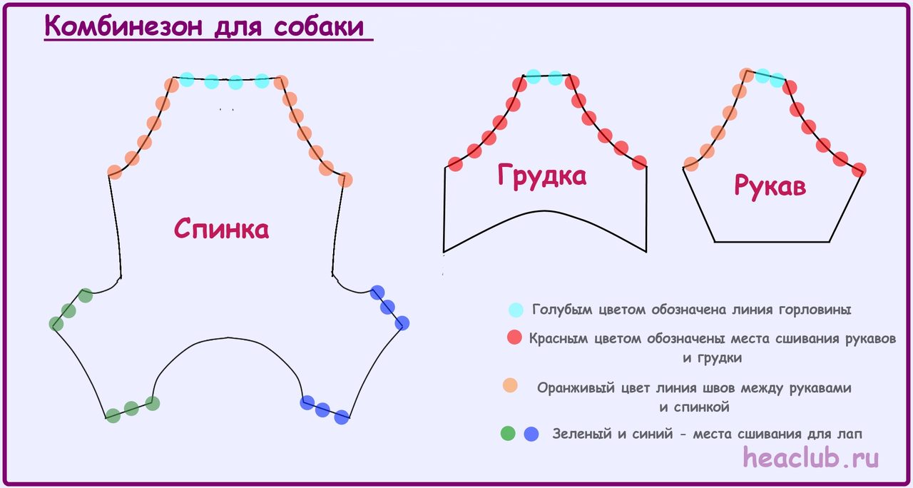 Выкройка схема комбинезон для собаки мальчика