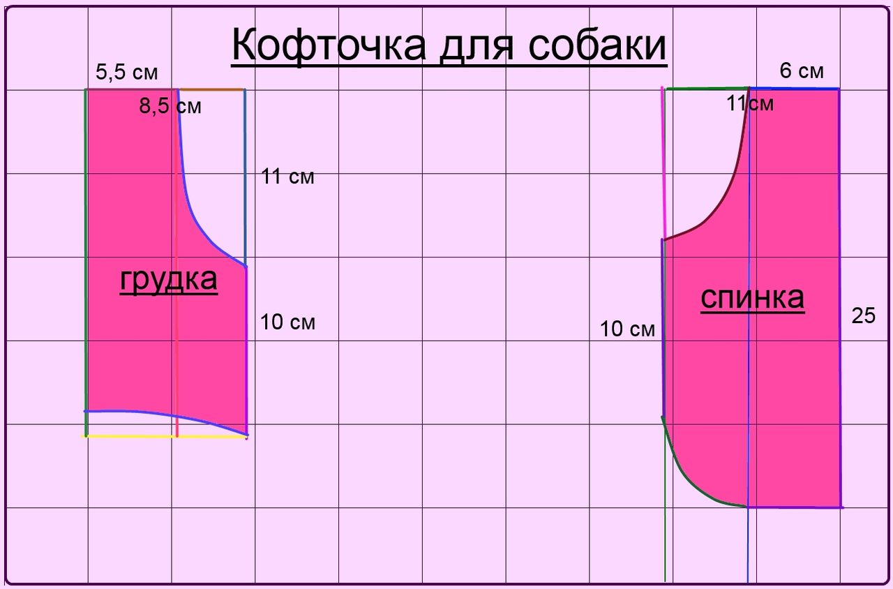 Выкройка кофточки для собаки