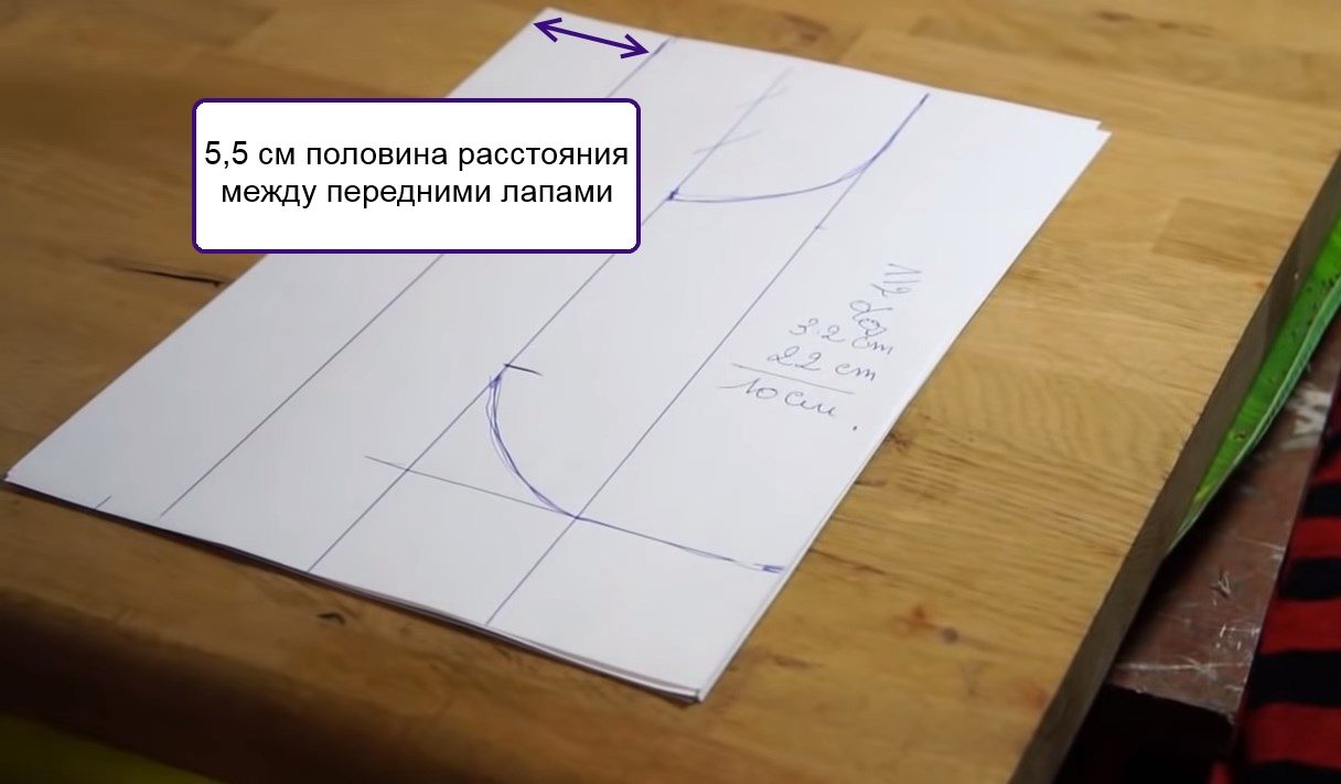 Расстояние между передними лапами