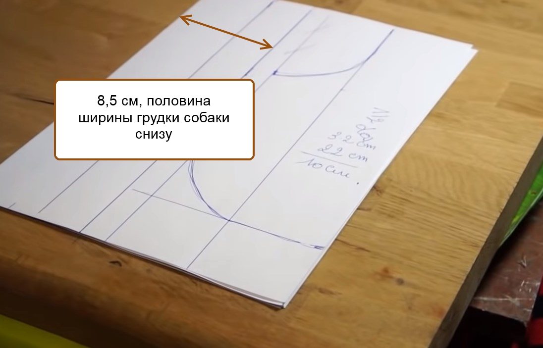 Ширина грудки собаки