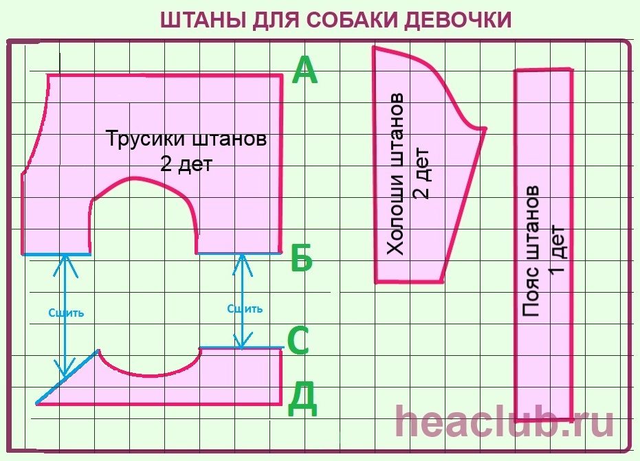 Выкройка штанов для собаки девочки