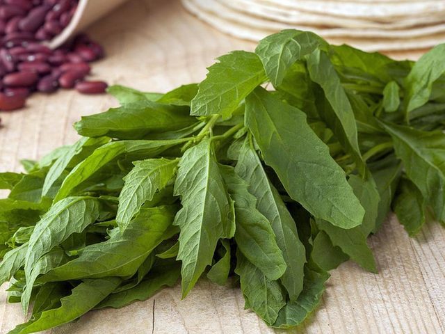 Продукты, которые помогают избавиться от кишечных паразитов естественным путем