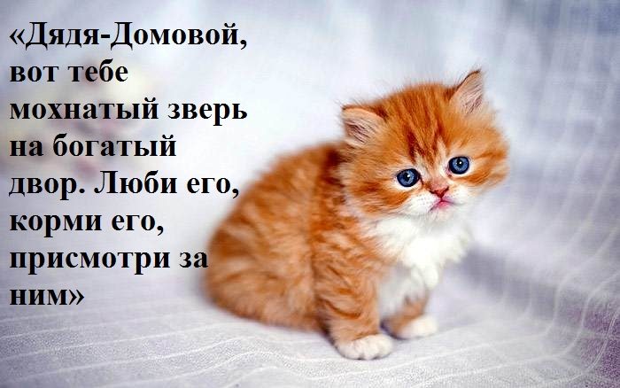 Заговор для домового
