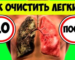 Как чистить легкие и бронхи от вредных веществ с помощью: настоев из трав, пищевых продуктов, ингаляций, бани, дыхательной гимнастики, лекарственных препаратов? Когда нужно чистить легкие и бронхи?