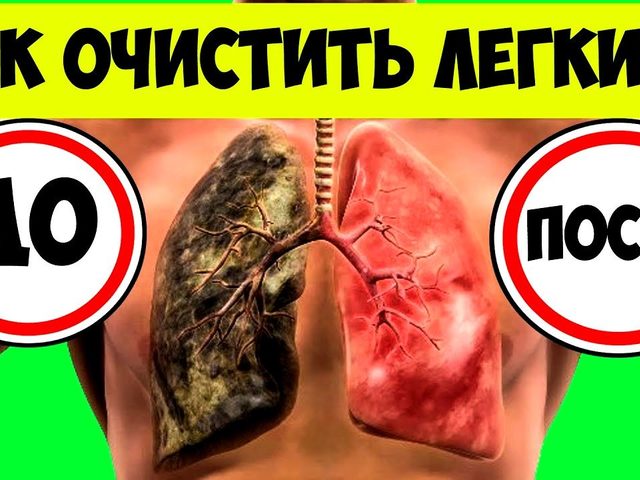 Как чистить легкие и бронхи от вредных веществ с помощью: настоев из трав, пищевых продуктов, ингаляций, бани, дыхательной гимнастики, лекарственных препаратов? Когда нужно чистить легкие и бронхи?
