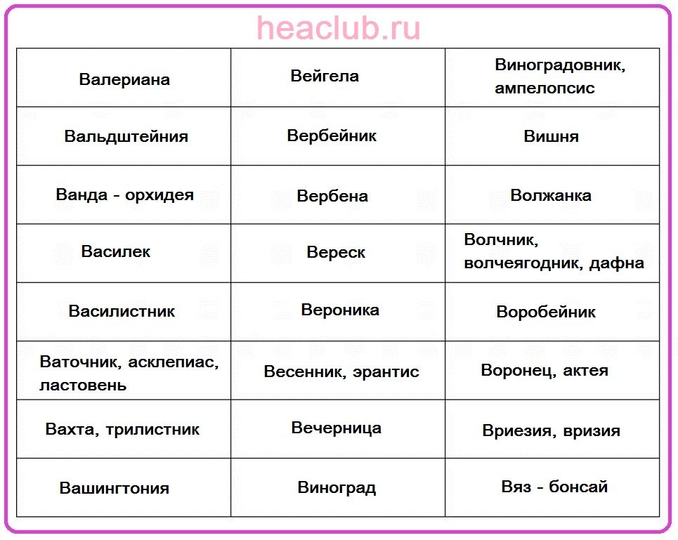 Названия цветов на "в" таблица
