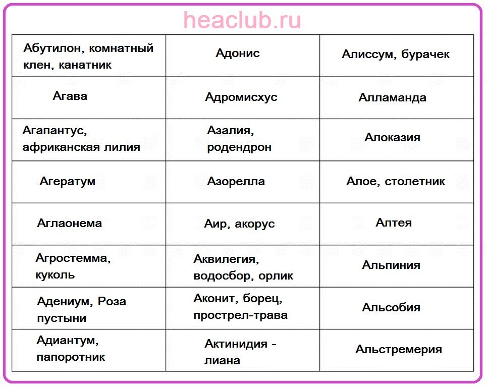Таблица названия цветов на "а"